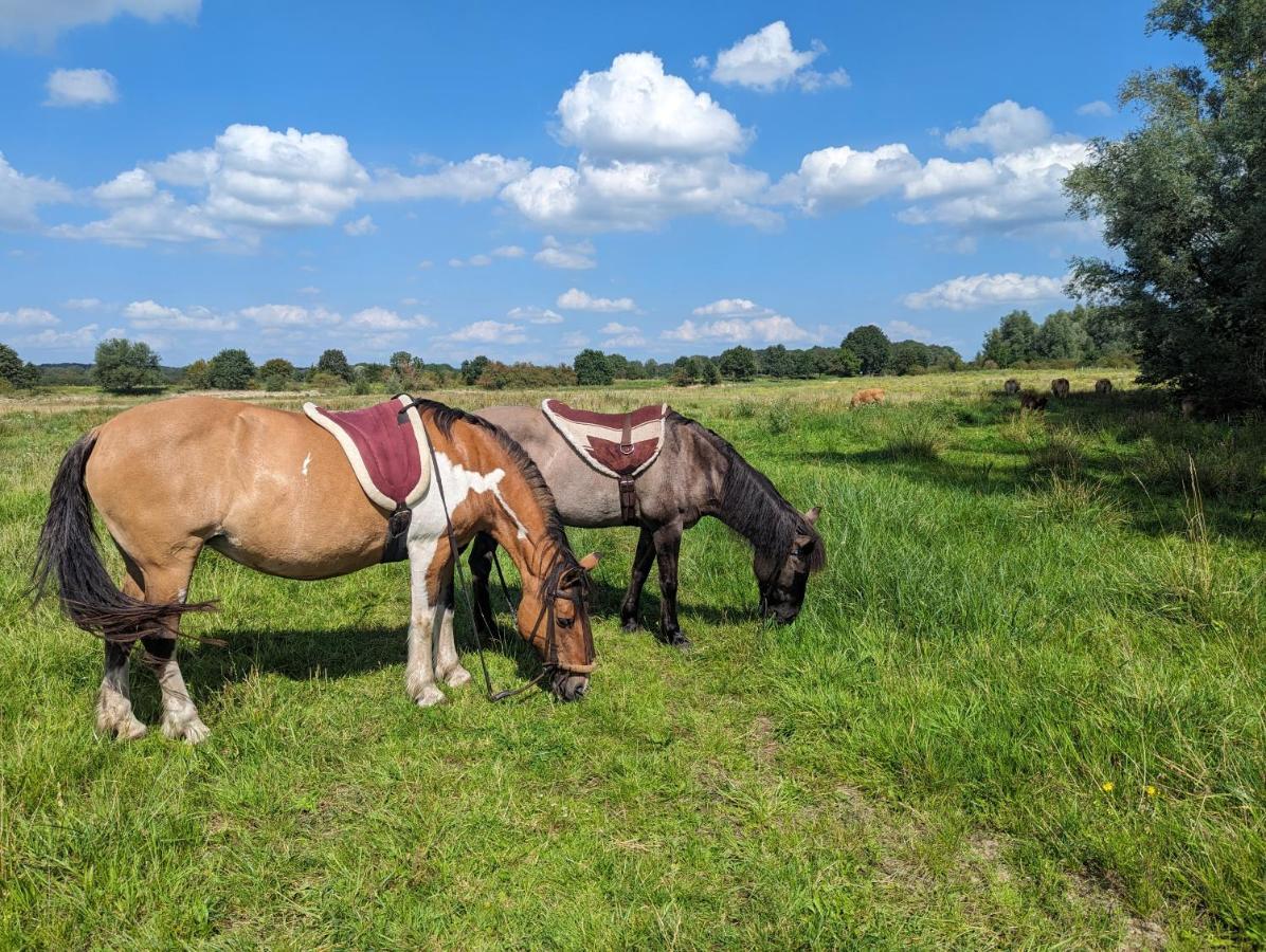 Klavertje 4 * Middelaar